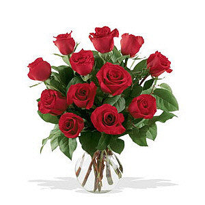 Premium Red Roses